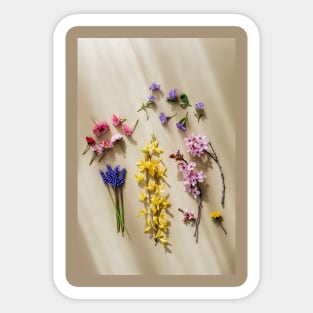 colorful flowers and plants pink & rose yellow blue purple Sticker